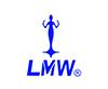 LMW Seminar @ Egypt: Breaking Barriers in Speed & Efficiency